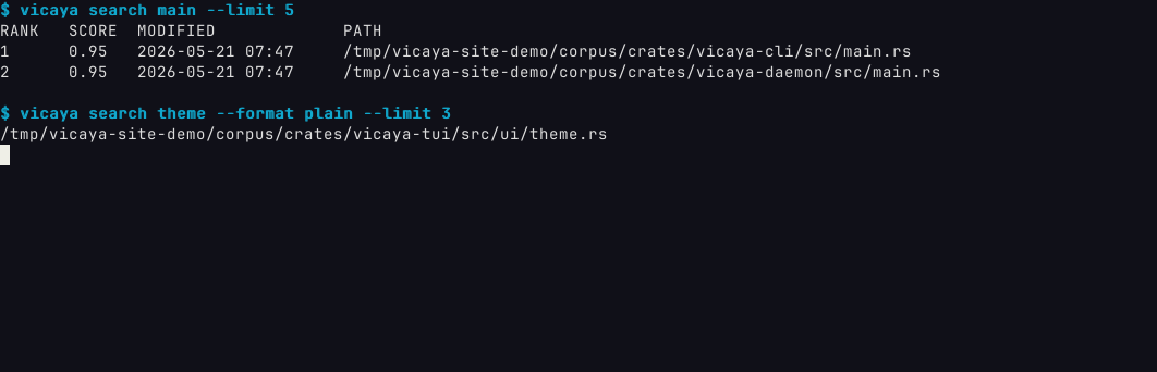vicaya CLI showing table and plain search results